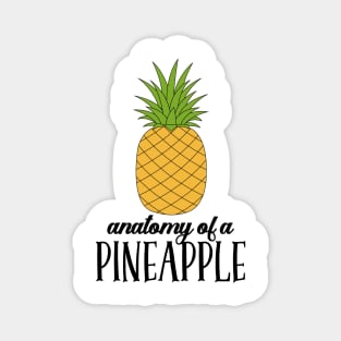 Anatomy of a Pineapple Magnet