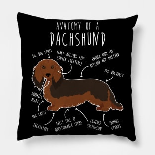 Longhaired Sable Dachshund Dog Anatomy Pillow