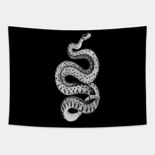 Horned Rattle snake Tapestry