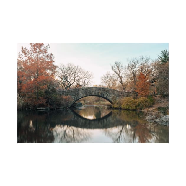 Central Park Bridge Reflection by igjustin