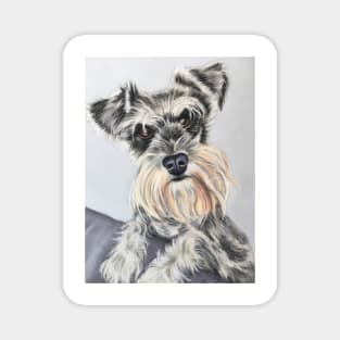 Miniature Schnauzer Magnet