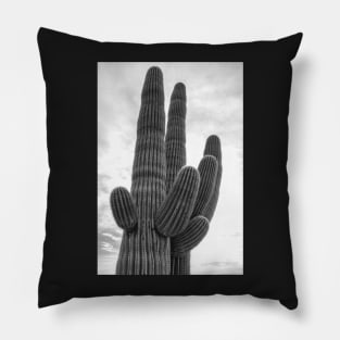 saguaro bw 2 Pillow