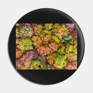 Aerial view of colorful autumn forest Pin
