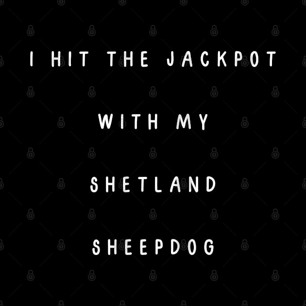 I hit the jackpot with my Shetland Sheepdog by Project Charlie