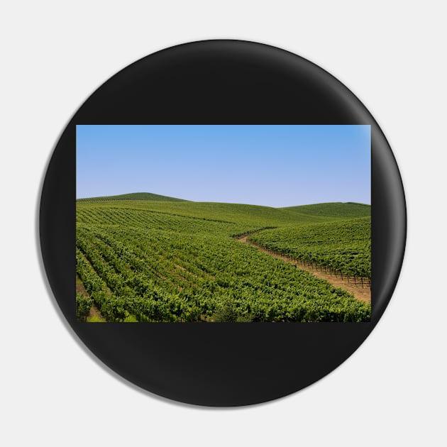 Vineyards Pin by randymir