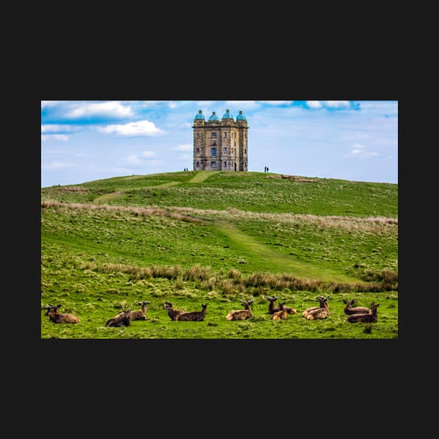 Deer in front of the hunting lodge at Lyme Park National trust in the UK by Itsgrimupnorth