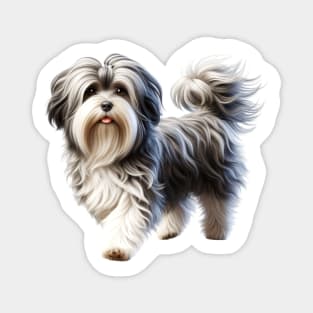 Havanese Magnet