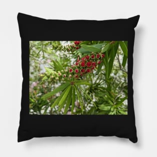 Red Cone Flowers Blooming Pillow