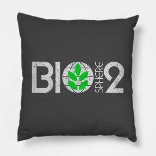 Biosphere 2 Pillow
