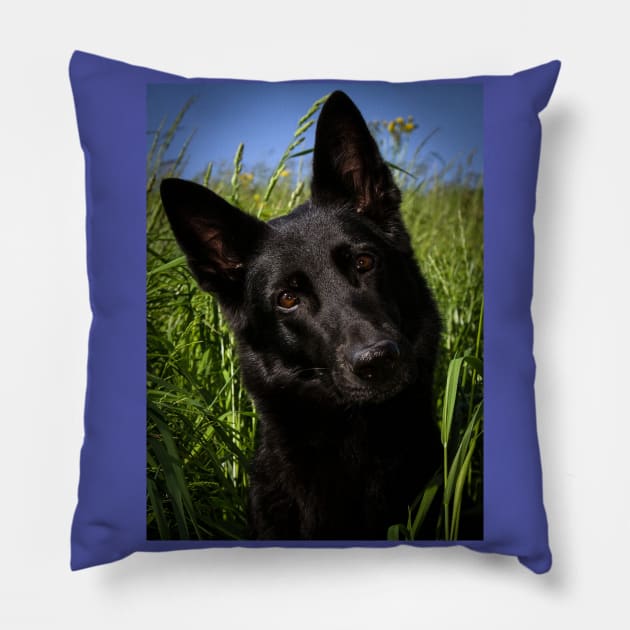 Black german shepherd Pillow by Wanderingangel