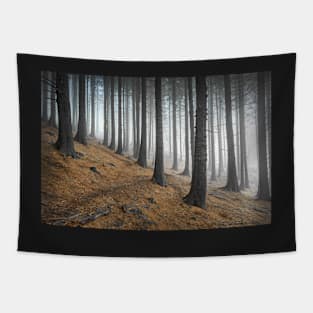 Misty spruce trees with a path Tapestry