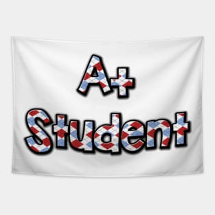 Cute A+ Student Awesome Honor Roll Student School Tapestry