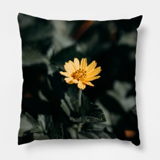 A Small Sunflower Pillow