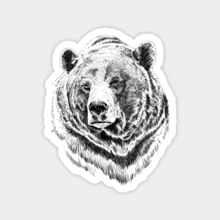 Bear Magnet