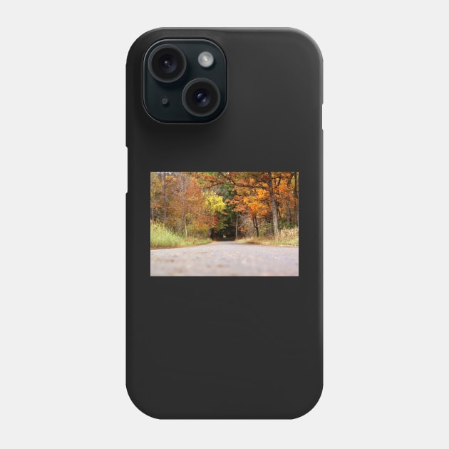 Autumn Tree Tunnel Phone Case by 1Redbublppasswo