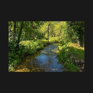 Stream in Martin Brod Village in Bosnia T-Shirt