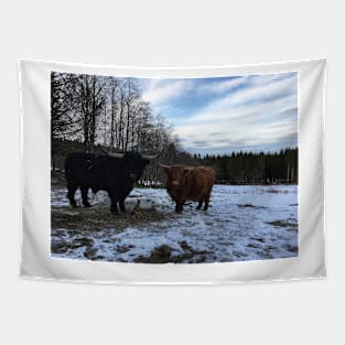 Scottish Highland Cattle Bull and Cow 2322 Tapestry