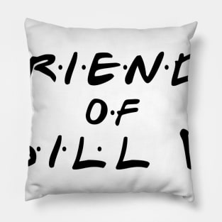 Friends of Bill W Pillow