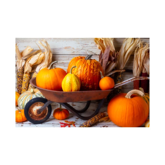 Old Rusty Wheelbarrow Full Of Pumpkins by photogarry