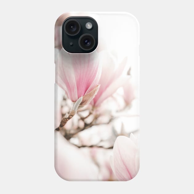 Blossoming Magnolia Tree Phone Case by Melissa Peltenburg Travel Photography