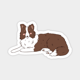 Cute cartoon brown border collie dog Magnet