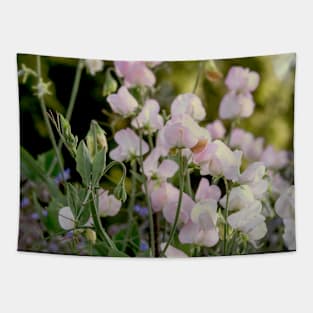 Sweet Peas Tapestry