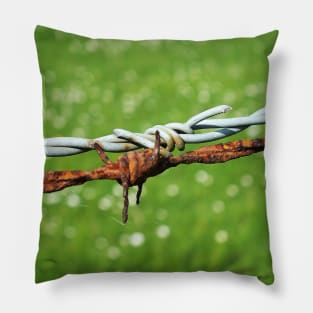 Still Life with Barbed Wire Pillow