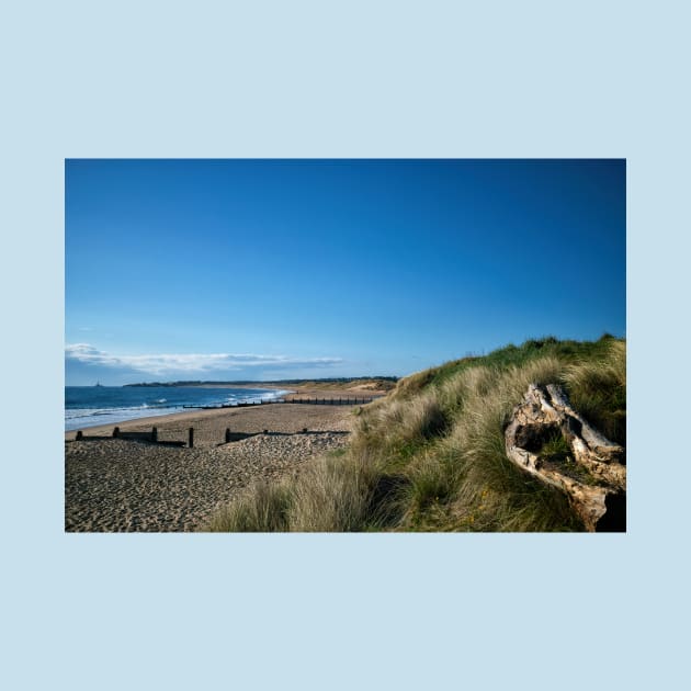The Beach at Blyth, Northumberland by Violaman