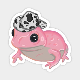 Pink Frog Wearing Cowboy Hat Magnet