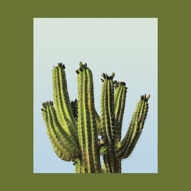 Cactus by StudioGrafiikka