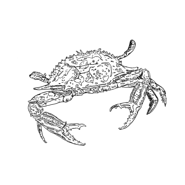 Crab - Pen and ink drawing by marianasantosart