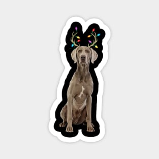 Weimaraner Reindeer Christmas Magnet