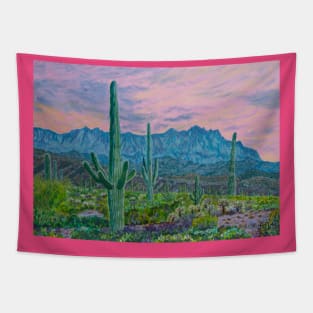 Sunset in Arizona desert Tapestry