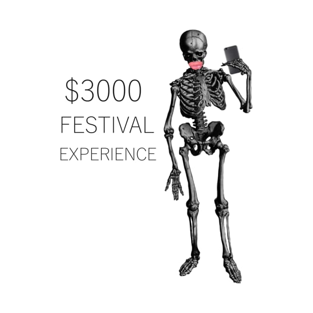 $3000 festival experience by ythodesign