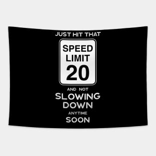 20th Birthday Gift Ideas Speed Limit 20 Sign Shirt Tapestry