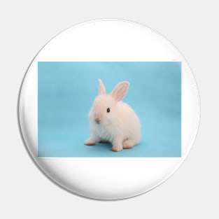 baby bunny Pin