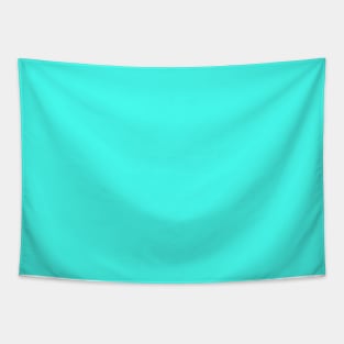 South Beach Art Deco Aqua Florida Colors of the Sunshine State Tapestry