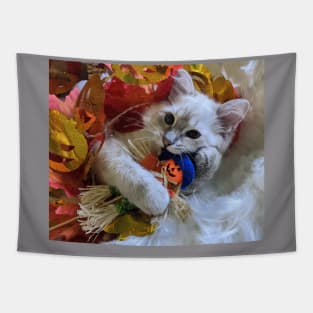 Saoirse ragdoll cat Tapestry