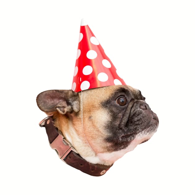 Birthday Pug by SpartanCell