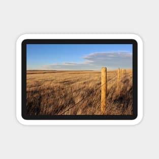 Montana Fence Line Magnet