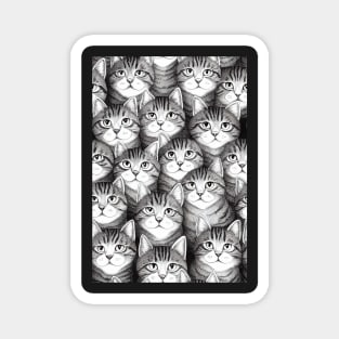 Lots of Cats. Perfect gift for Cats Lovers or for National Cat Day, #24 Magnet