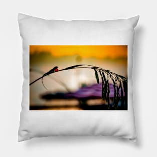 Sunrise Silhouette Pillow