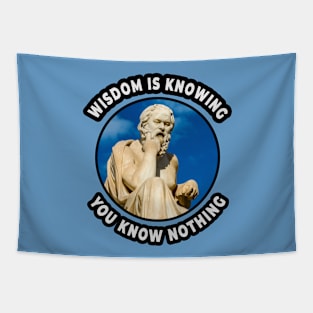 🏺 Wisdom Is Knowing You Know Nothing, Socrates Quote Tapestry