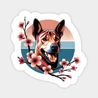 Thai Ridgeback Revels in Spring Cherry Blossoms Magnet