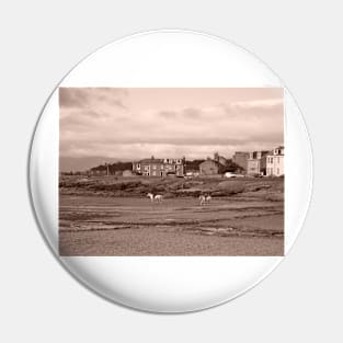 Shoreline with Horses, Millport in Scotland. West coast, off Isle of Cumbrae Pin