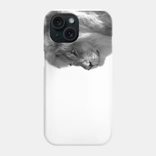 Watchful Phone Case