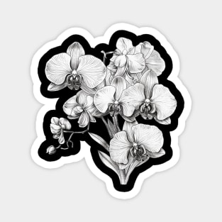 Black and White Coloring Book/Tattoo Style Orchid Blossoms Magnet
