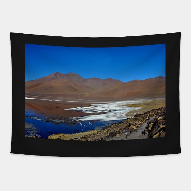 Bolivie - Salar d'Uyuni Tapestry by franck380