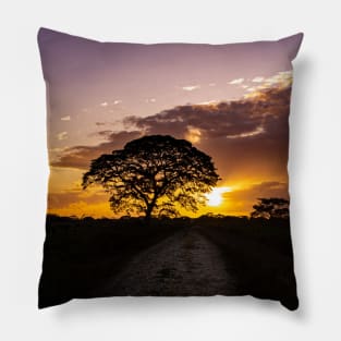 sunset in Venezuela Pillow