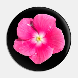 Bright Pink Flower White Yellow Center Pin